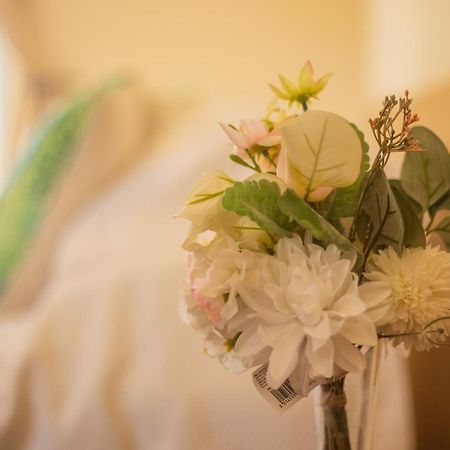 Hostal Uruhao อังกาโรอา ภายนอก รูปภาพ